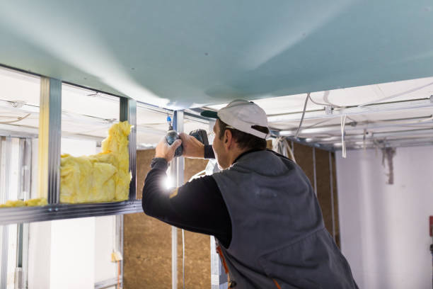 Best Affordable Insulation Services  in Gibsonville, NC