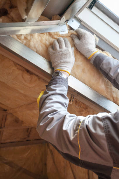 Best Attic Insulation Installation  in Gibsonville, NC