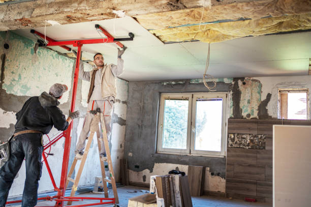 Best Home Insulation Services  in Gibsonville, NC
