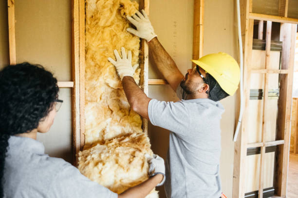 Best Soundproof Insulation Installation  in Gibsonville, NC