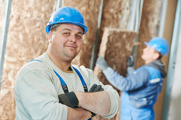Best Energy-efficient Insulation  in Gibsonville, NC
