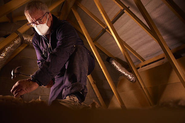 Best Insulation Removal  in Gibsonville, NC