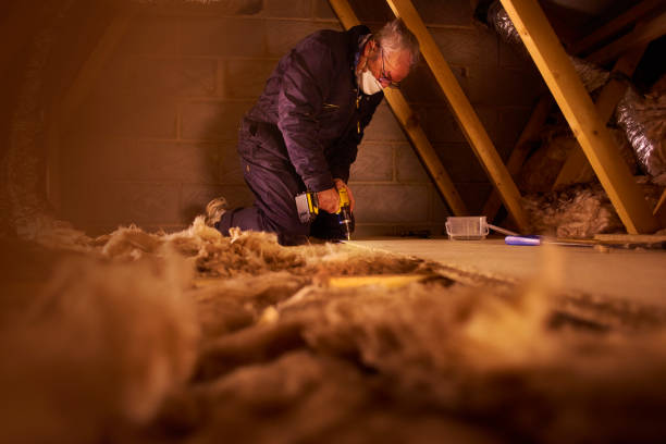 Best Energy-efficient Insulation  in Gibsonville, NC